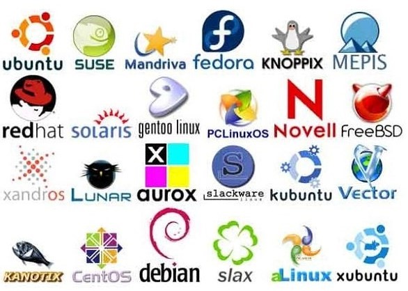 Berdasarkan kode sumber, jenis sistem operasi dibagi menjadi 2 jenis, yaitu sistem operasi open source dan sistem operas 